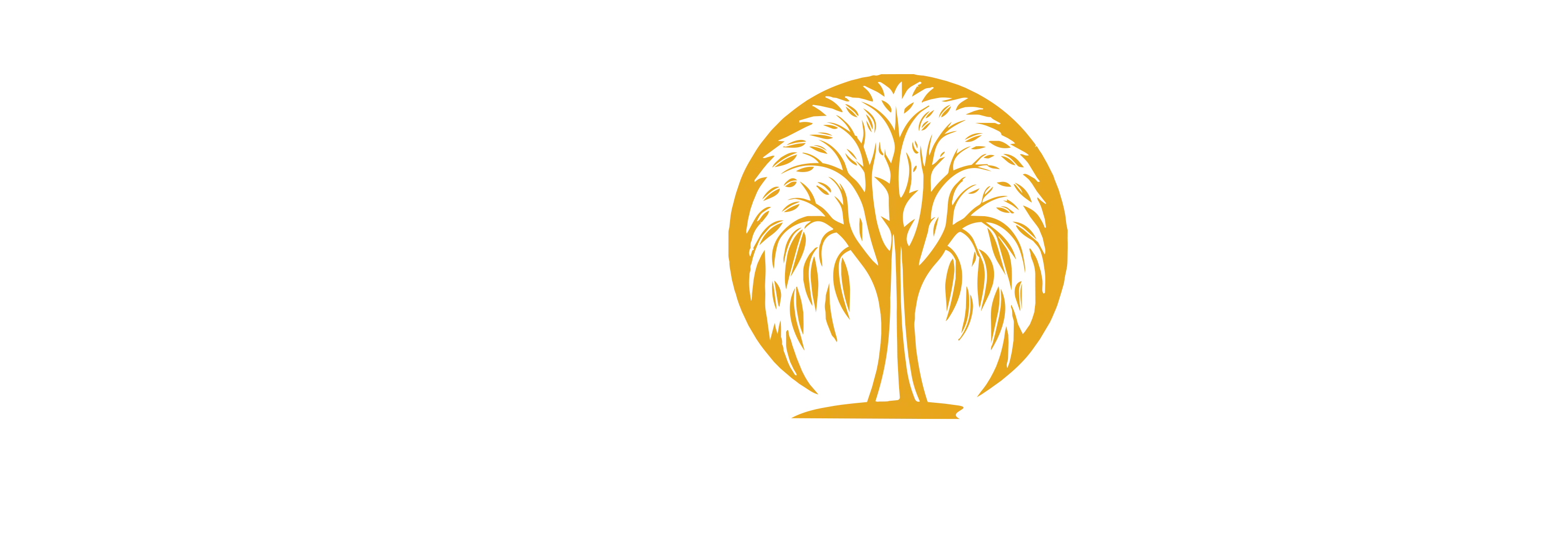 Golden willow tree silhouette within a circular emblem on a white background.