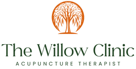 Logo for The Willow Clinic Acupuncture Therapist featuring an orange willow tree icon.